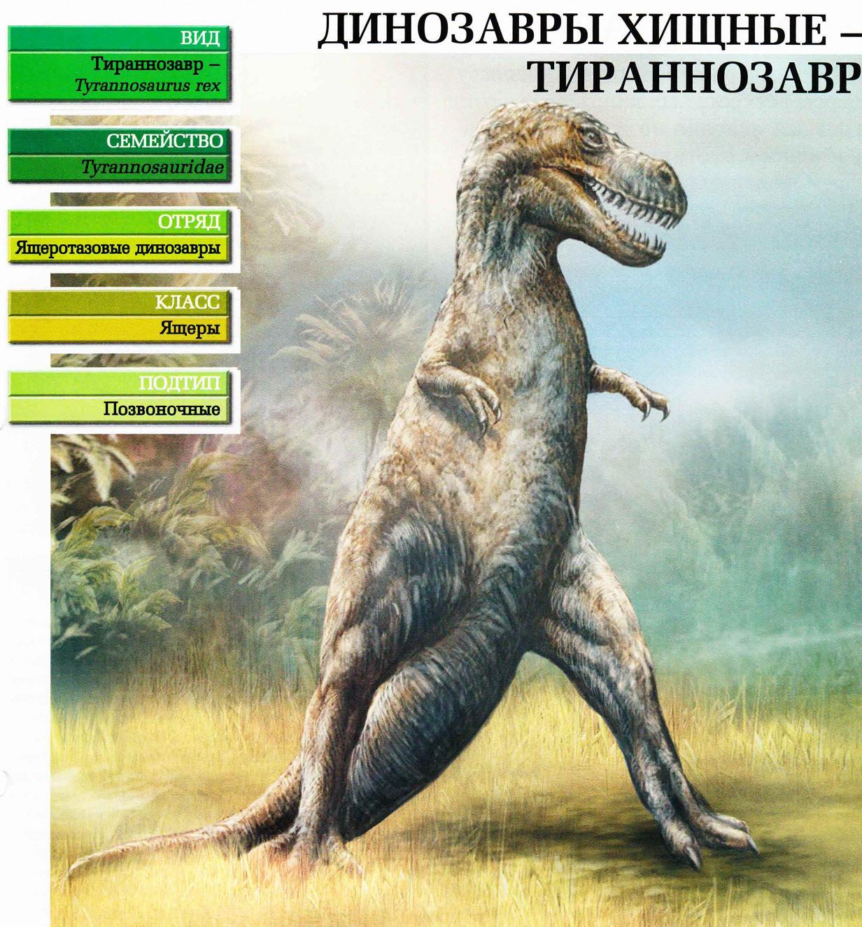 Тираннозавр.