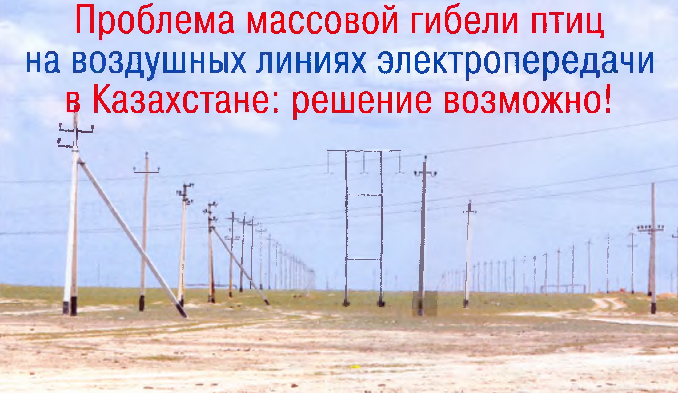 Проблема смертности птиц от ЛЭП в Казахстане и способы защиты птиц.
