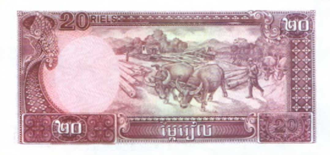 20 риелей 1979 г. Камбоджа.