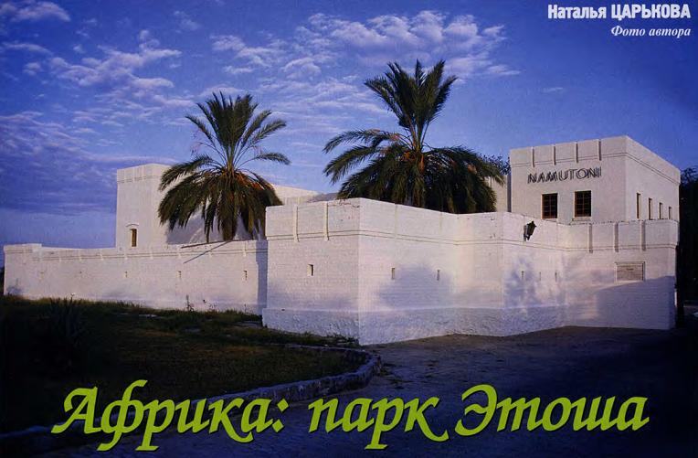 Парк Этоша. Африка.
