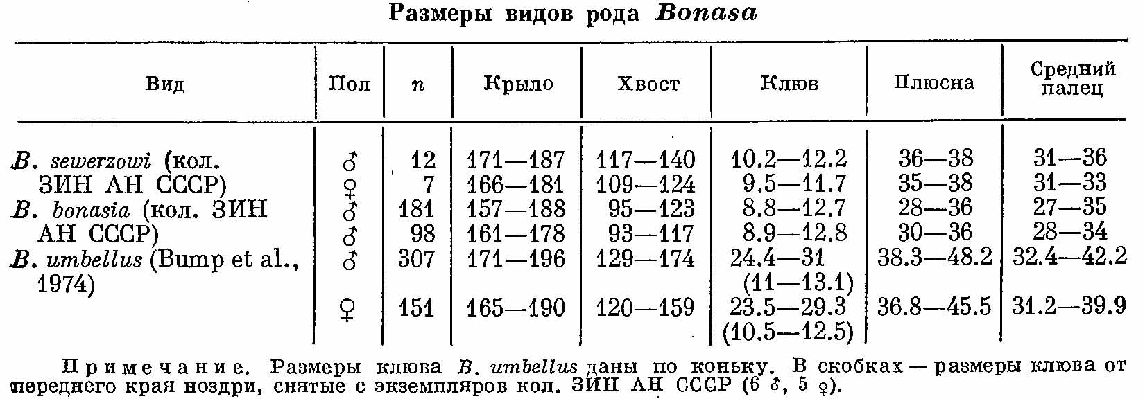 Таблица 1. Размеры видов рода Bonasia.