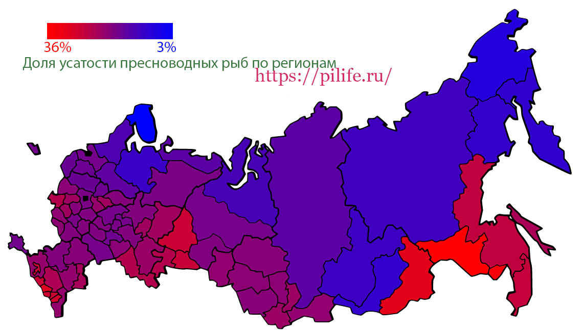 Усатость пресноводных рыб России по регионам.