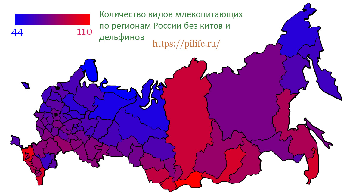 Соотношение видов млекопитающих без китов и дельфинов.