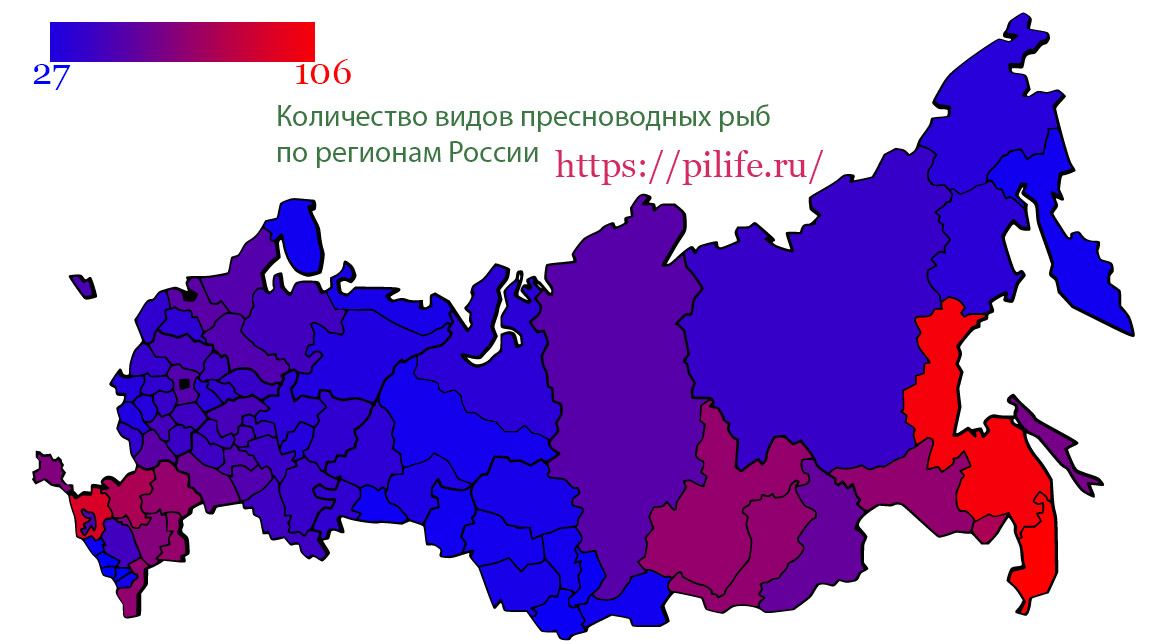 Сколько всего пресноводных рыб водится в России?