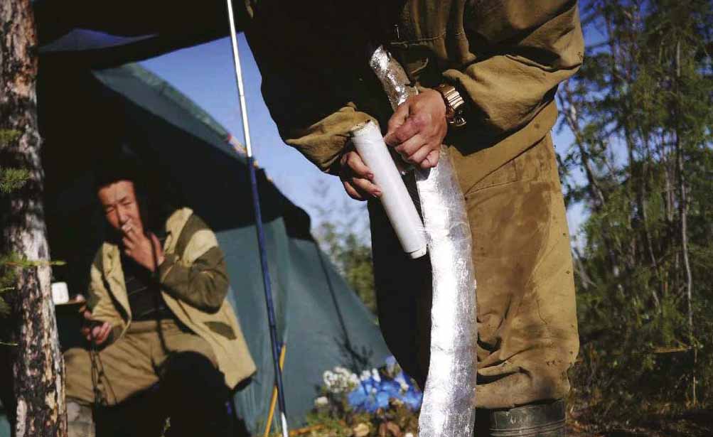 Упаковка бивня