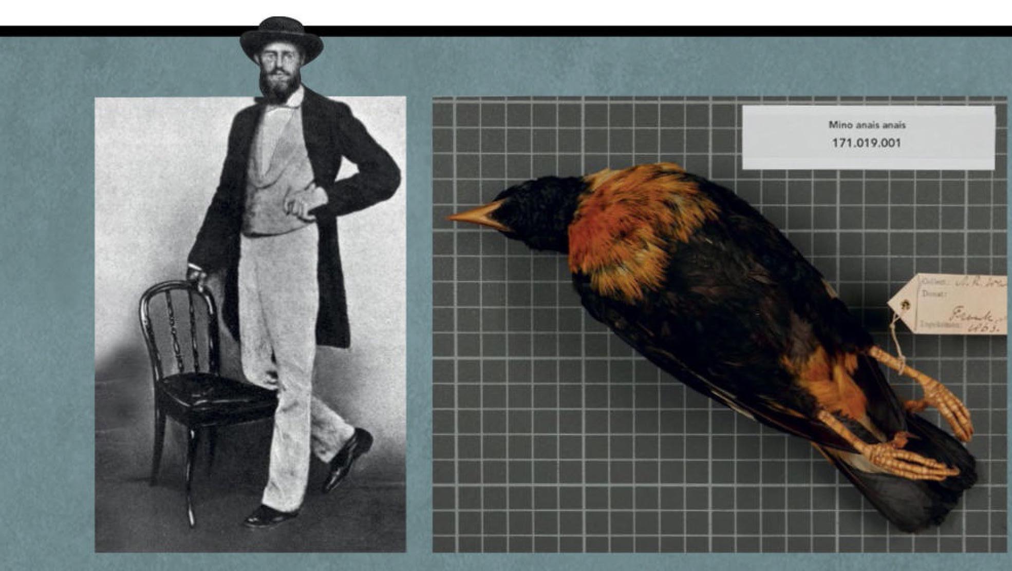 1. Дарвин обогнул земной шар за пять лет, но написал свою главную книгу лишь спустя более чем два десятилетия. 2. В юности Уоллес работал землемером, что позволило ему путешествовать и изучать природу. 3. Во время экспедиций Уоллес зарабатывал, отправляя в Европу птиц и других животных.