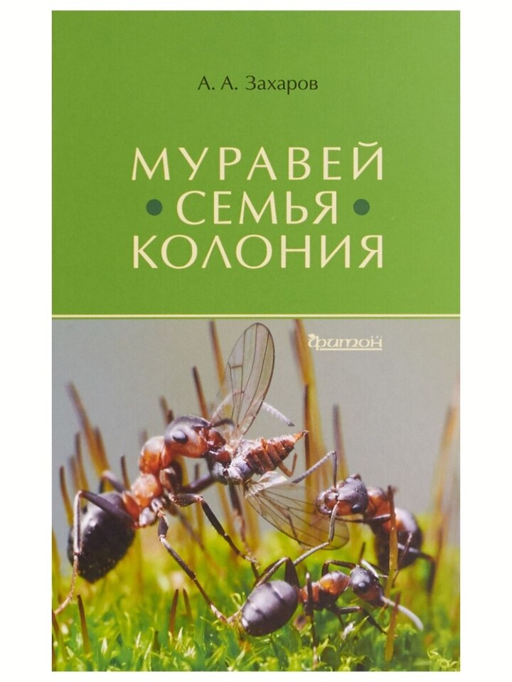 А. А. Захаров. «Муравей, семья, колония».