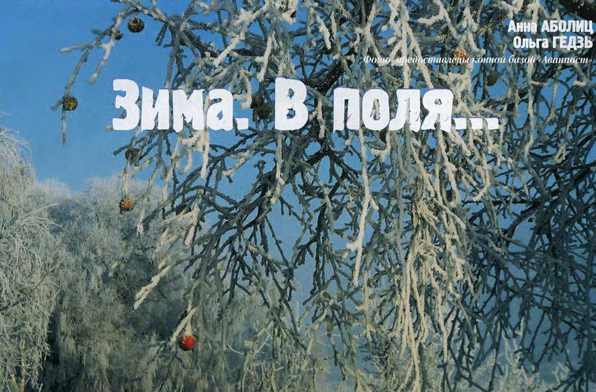 Зимние пробеги и прогулки на лошадях. Как обезопасить себя и лошадь.