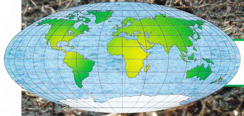 Ареал обитания гаттерии. Обитает на мелких островках у берегов Новой Зеландии.