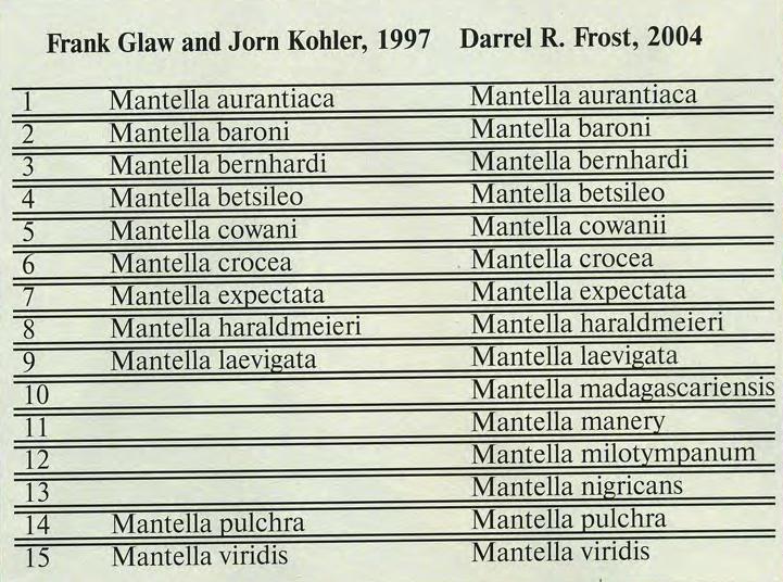 Латинские названия видом мантелл на 1997 и 2004 г.