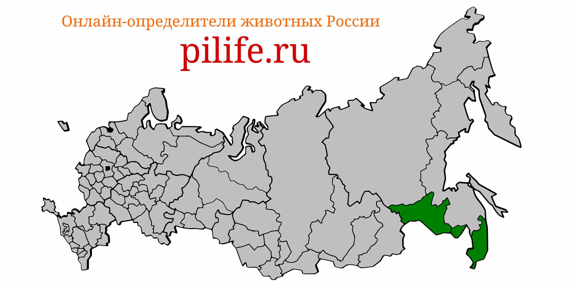 Ареал обитания Acanthorhodeus chankaensis на карте России
