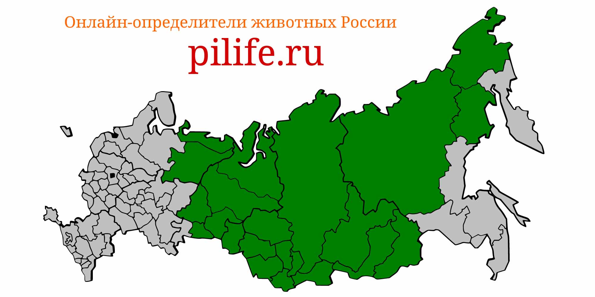 Ареал обитания Acipenser baerii на карте России