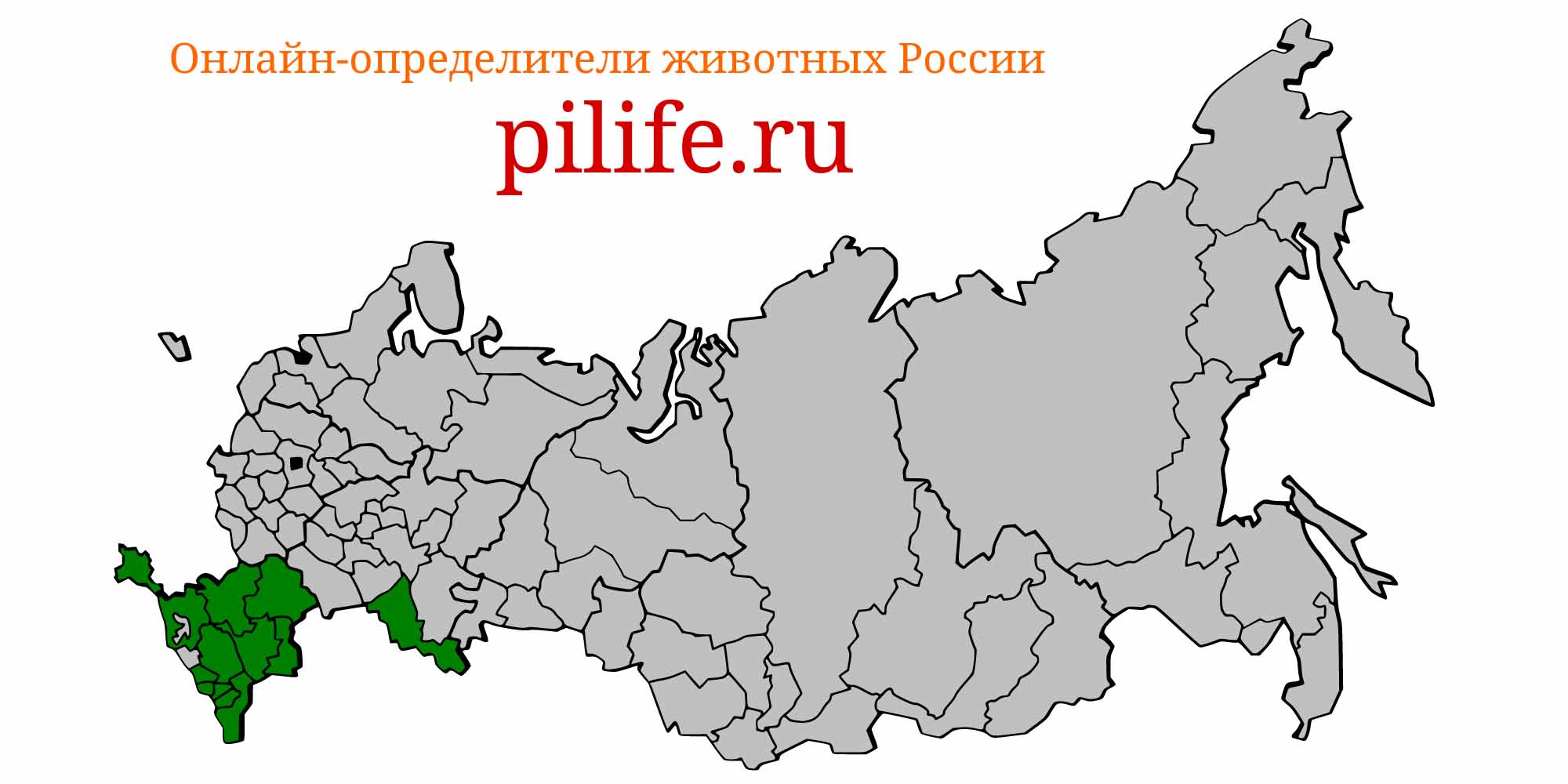 Ареал обитания acipenser gueldenstaedtii на карте России