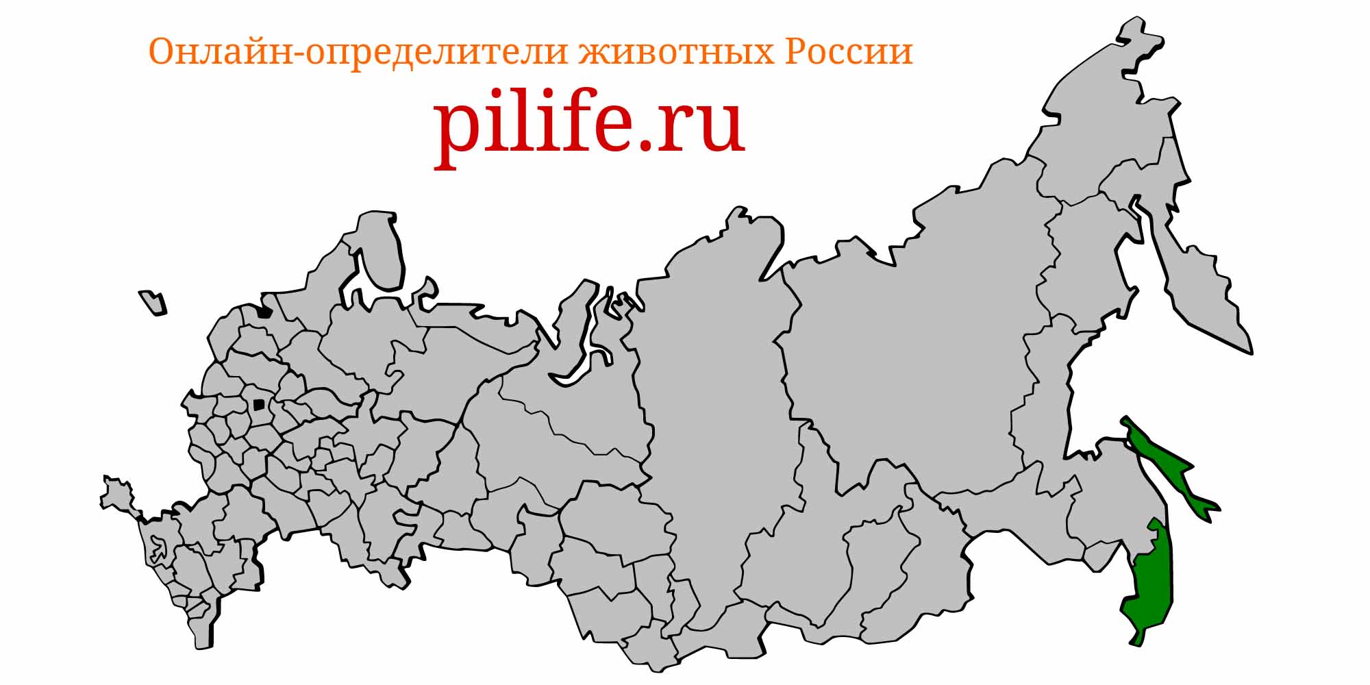 Ареал обитания Cottus amblystomopsis на карте России