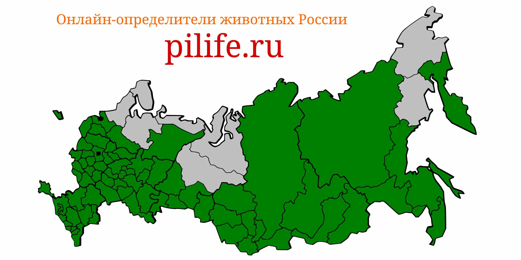 Ареал обитания cyprinus carpio на карте России