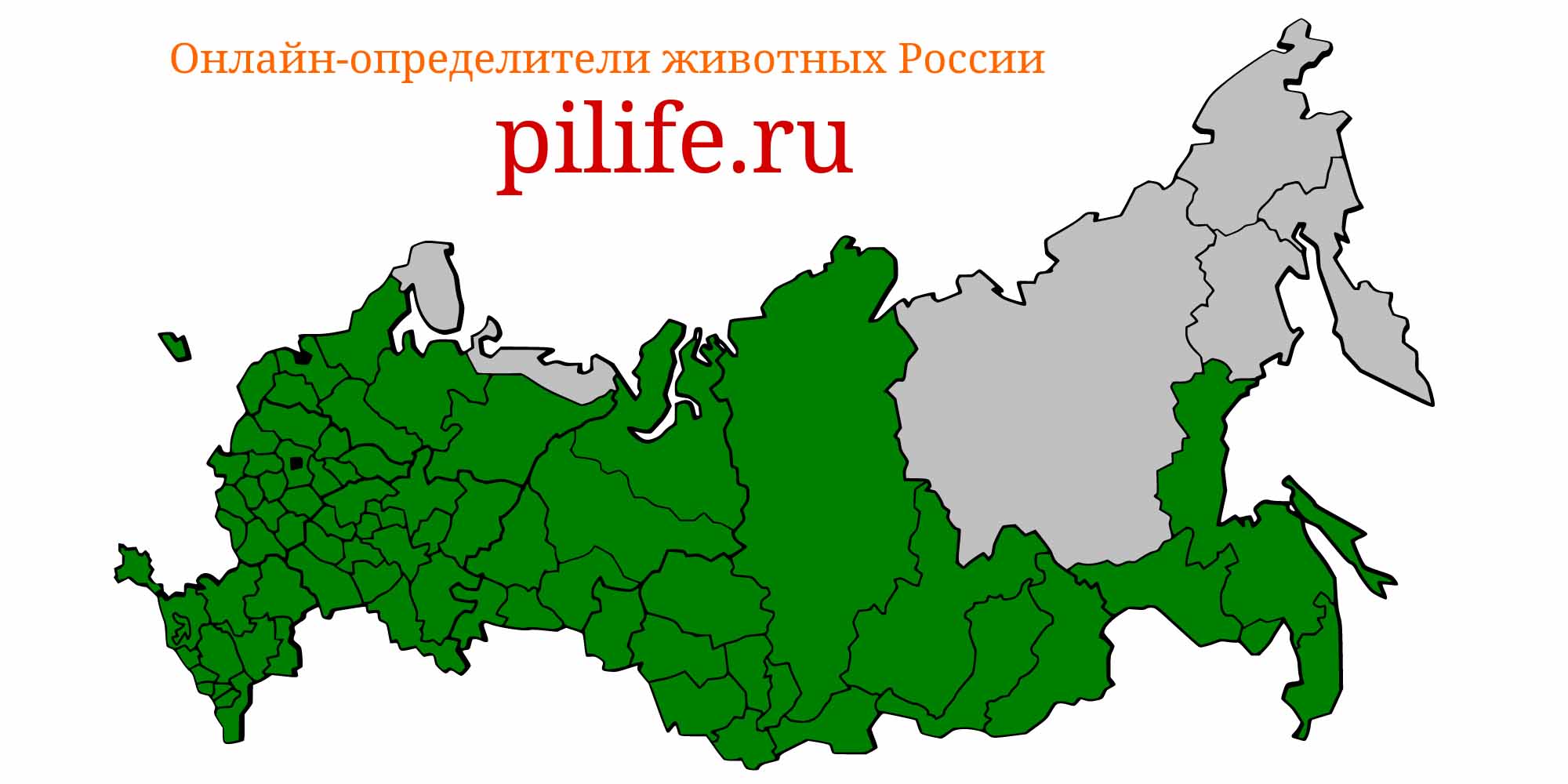 Ареал обитания gobio gobio на карте России