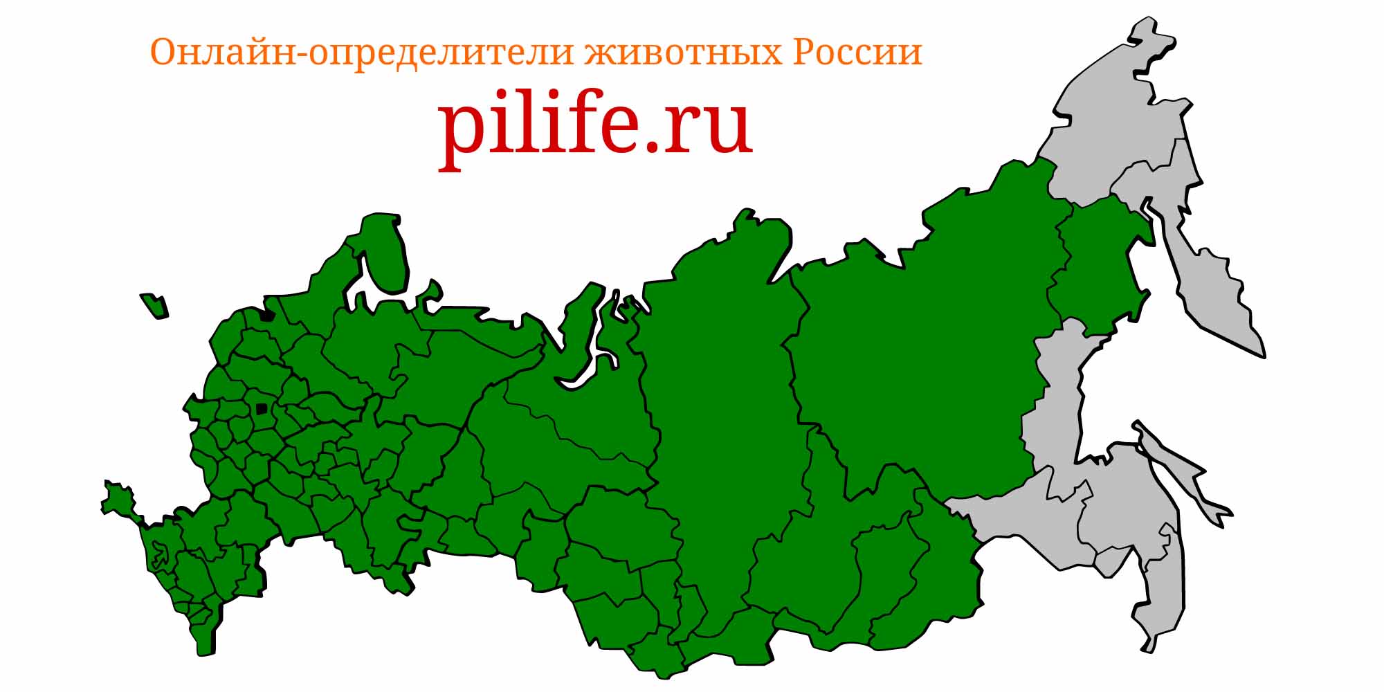 Ареал обитания Gymnocephalus cernuus на карте России