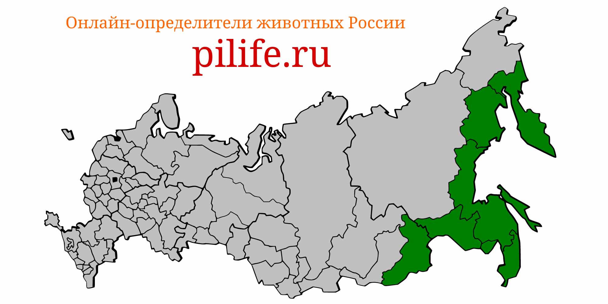 Ареал обитания Huso dauricus на карте России