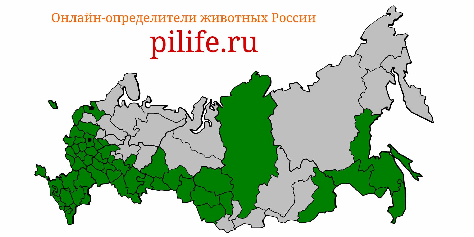 Ареал обитания Hypophthalmichthys molitrix на карте России