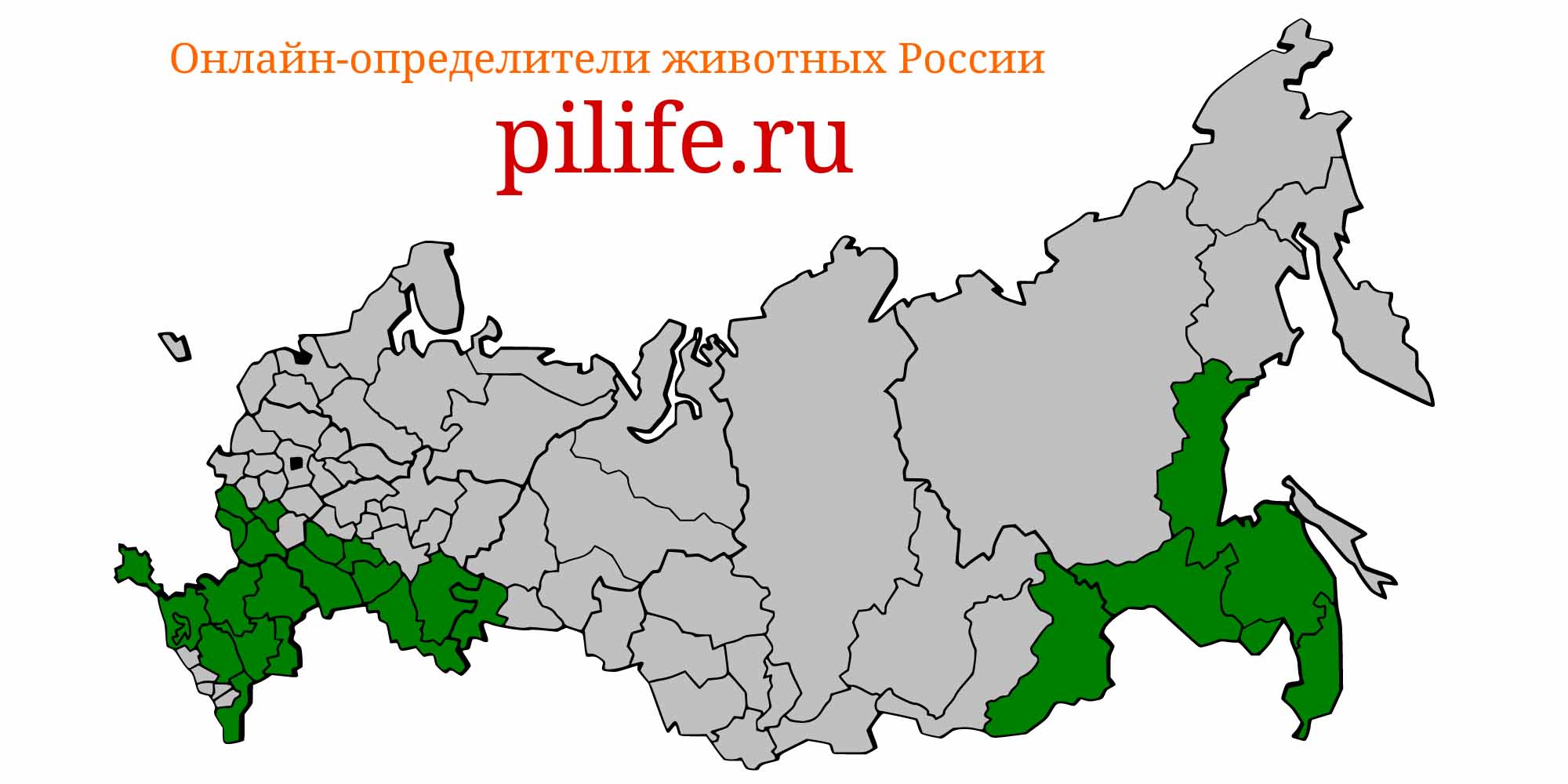 Ареал обитания hypophthalmichthys nobilis на карте России