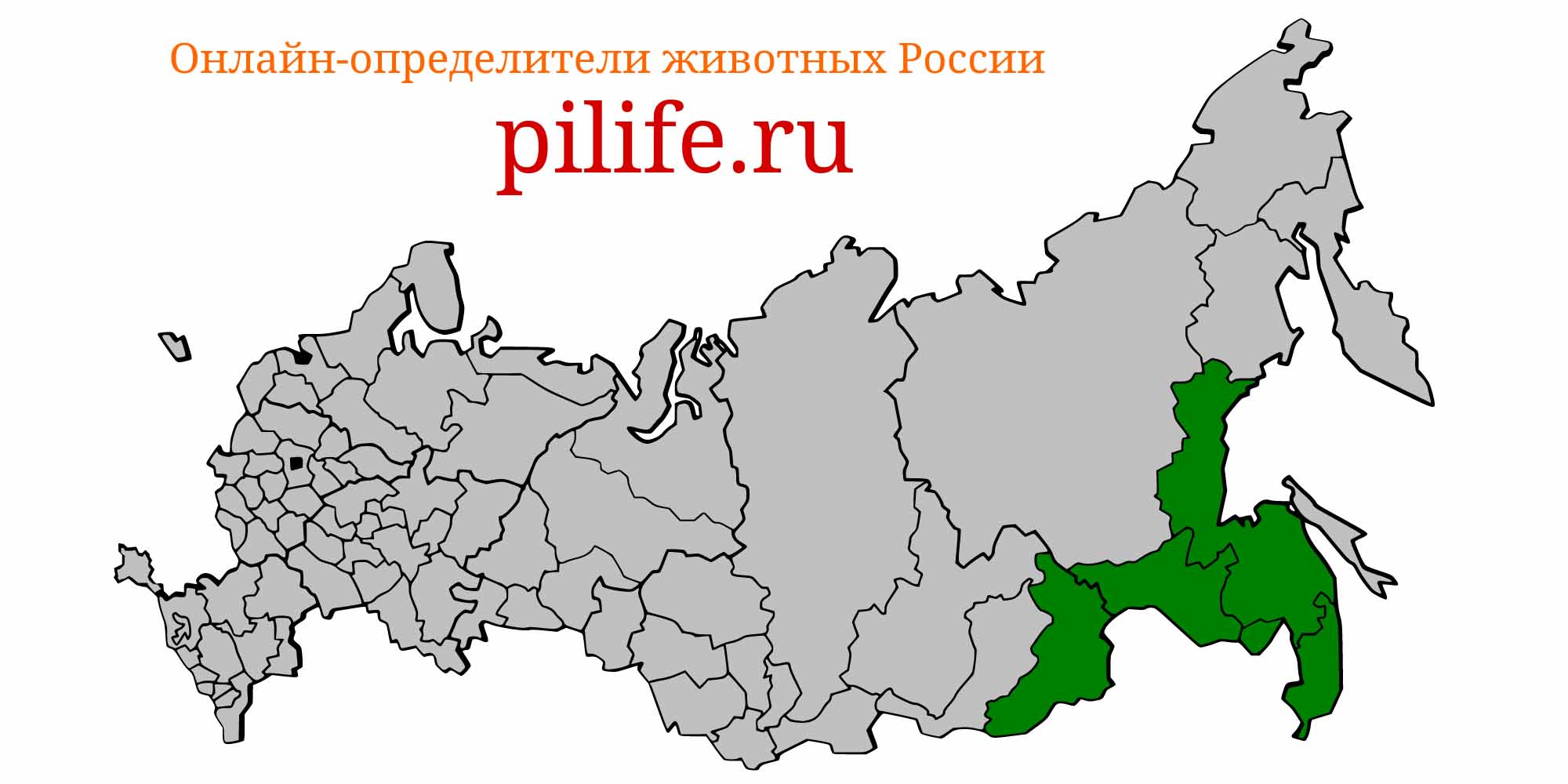 Ареал обитания Ladislavia taczanowskii на карте России
