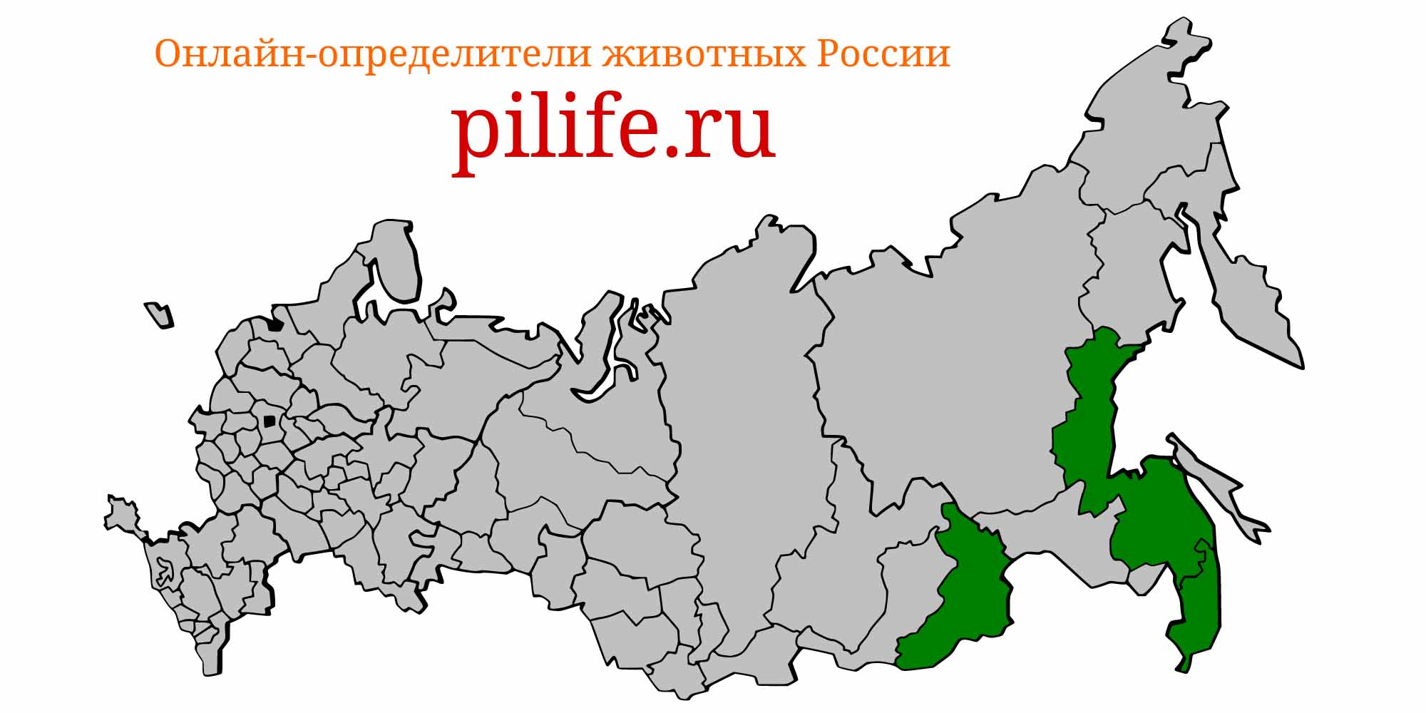 Ареал обитания Leiocassis herzensteini на карте России