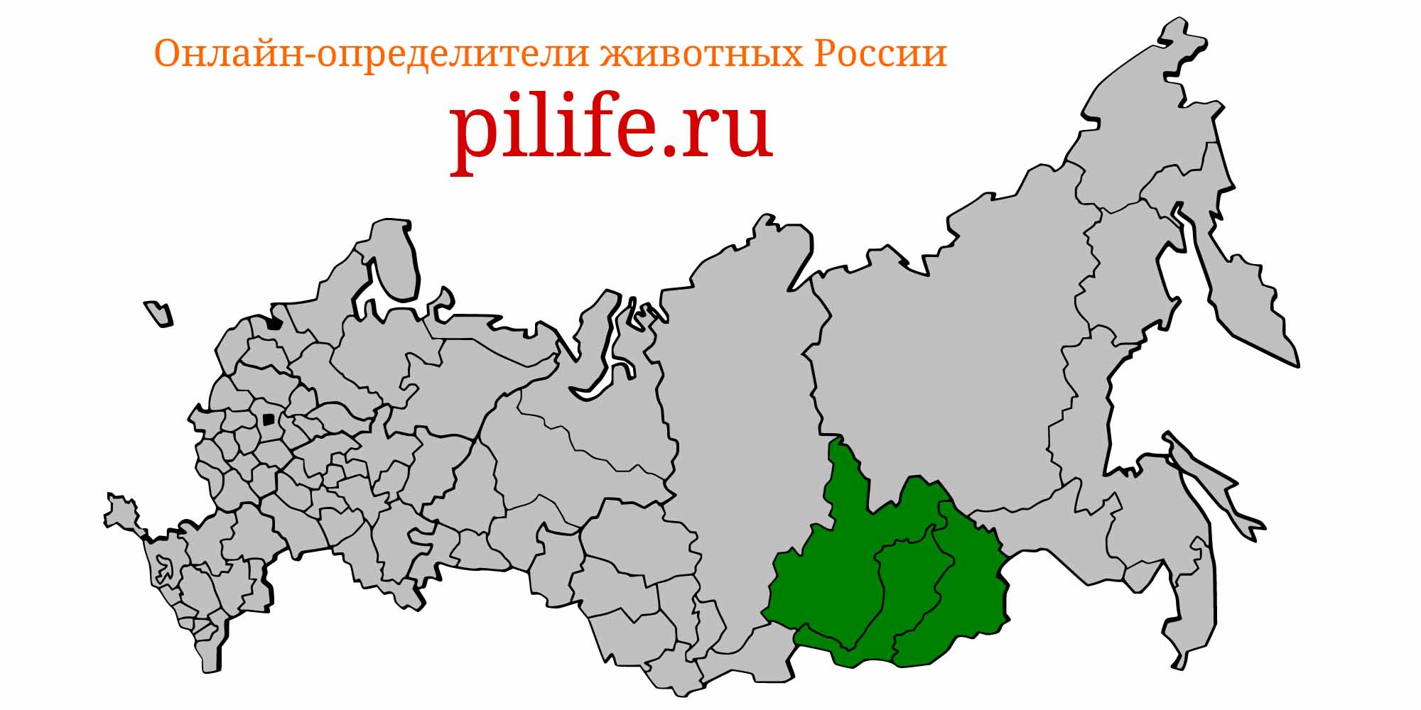 Ареал обитания Leocottus kesslerii на карте России