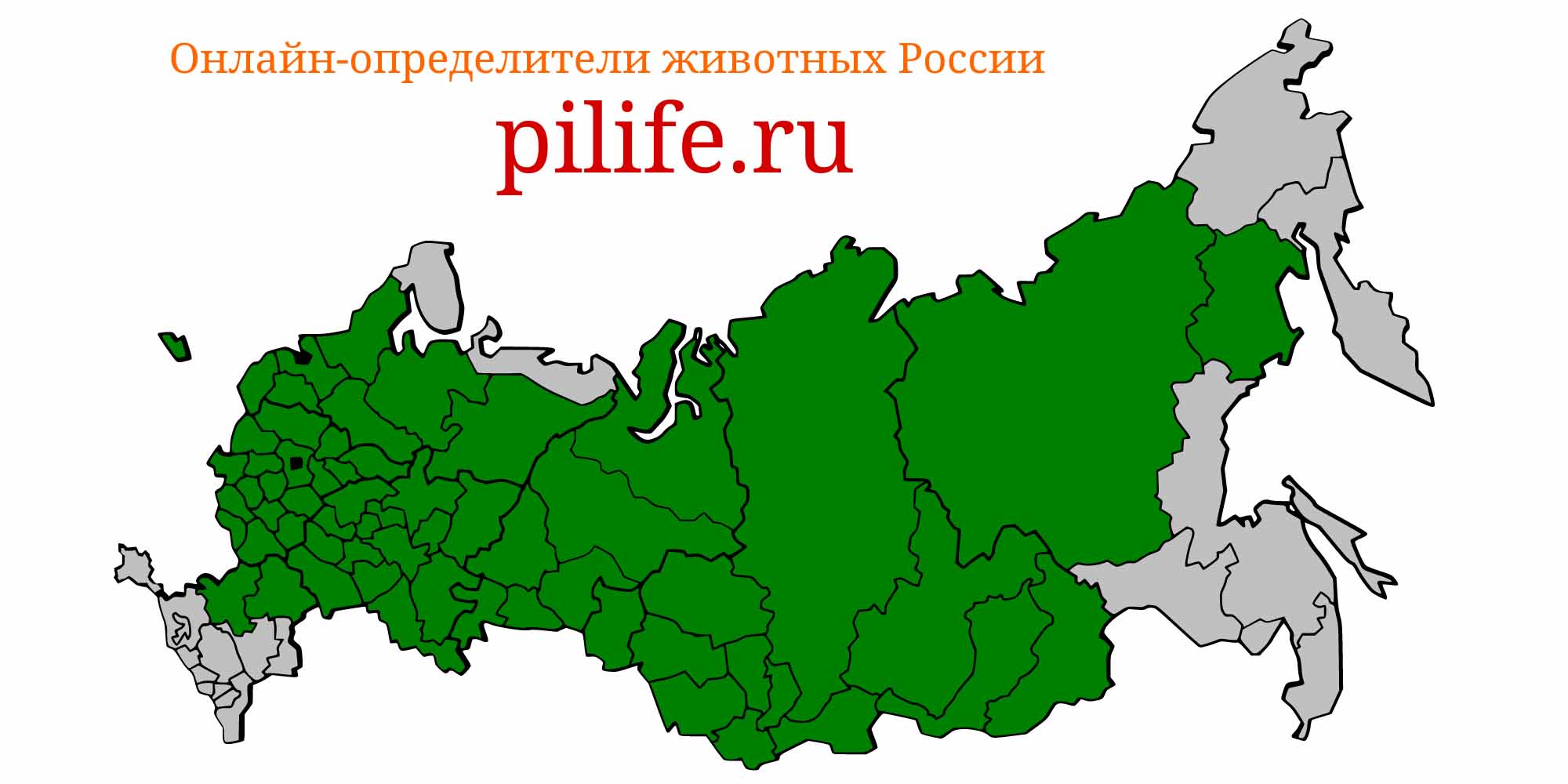 Ареал обитания leuciscus leuciscus на карте России
