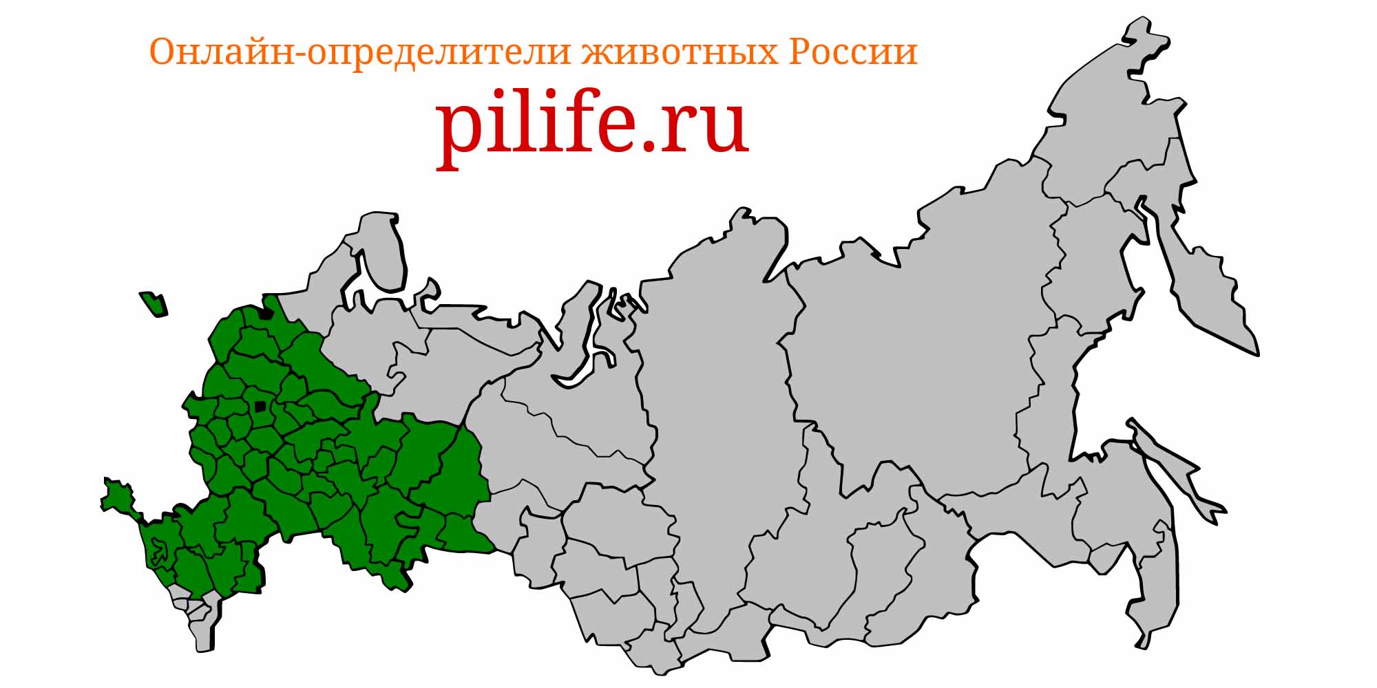 Ареал обитания misgurnus fossilis на карте России