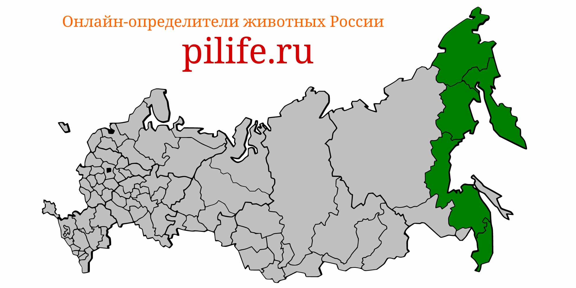Ареал обитания Oncorhynchus tshawytscha на карте России