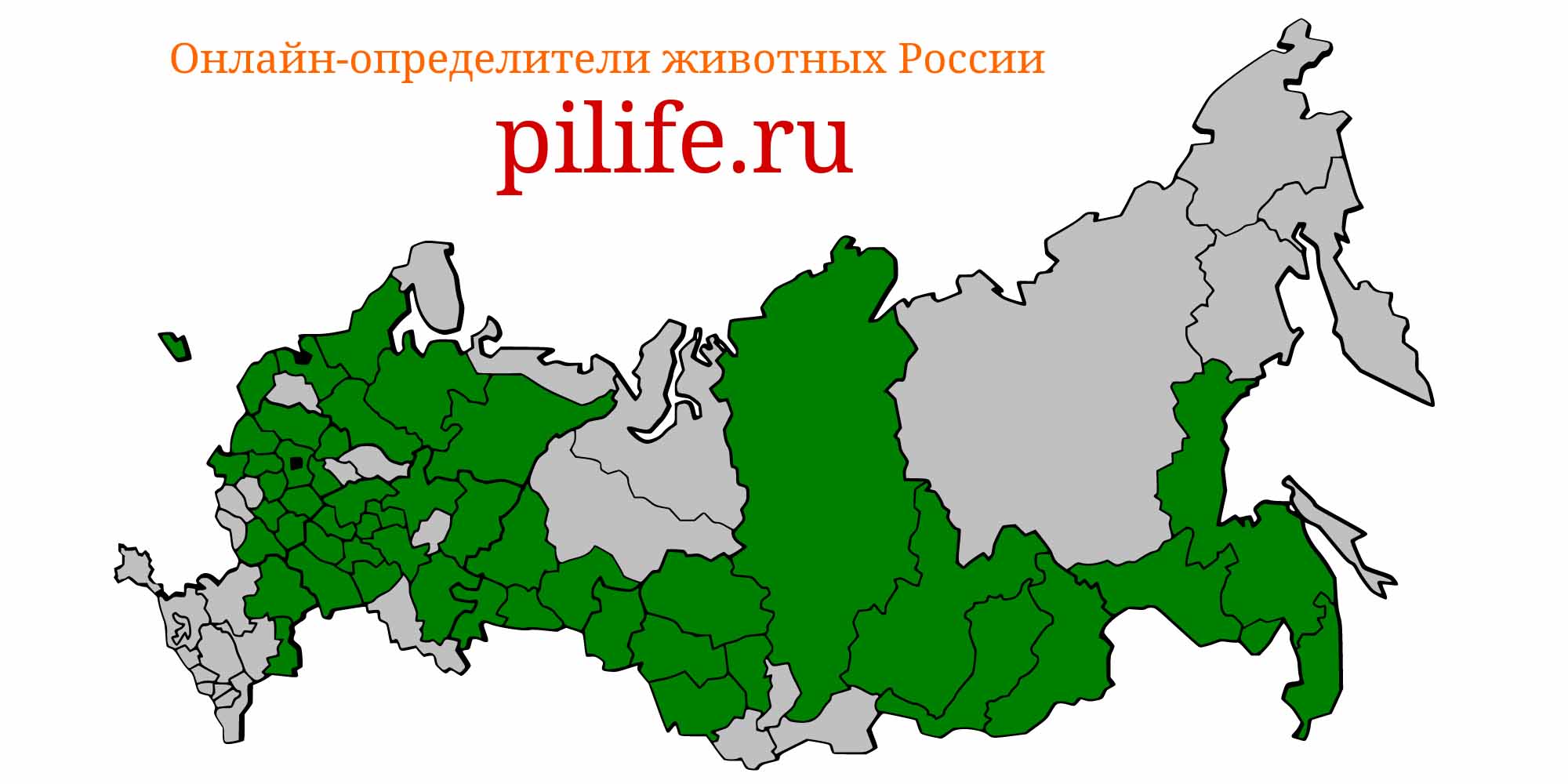 Ареал обитания Perccottus glenii на карте России