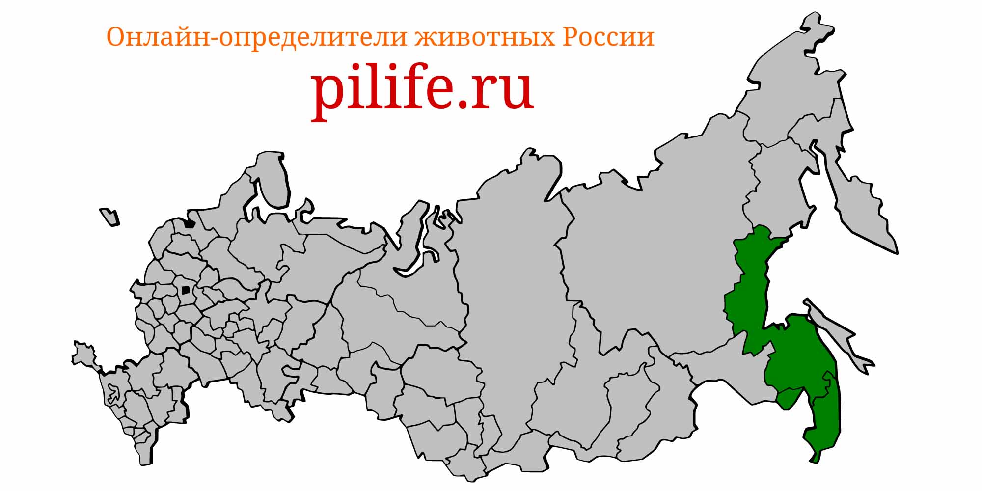 Ареал обитания Plagiognathops microlepis на карте России