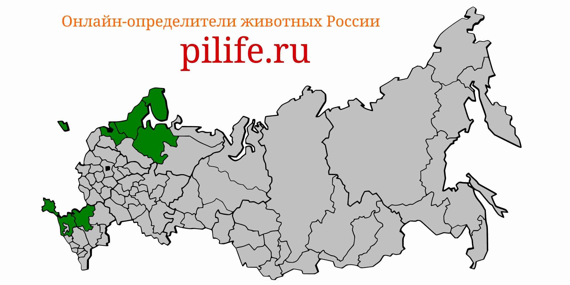 Ареал обитания platichthys flesus на карте России