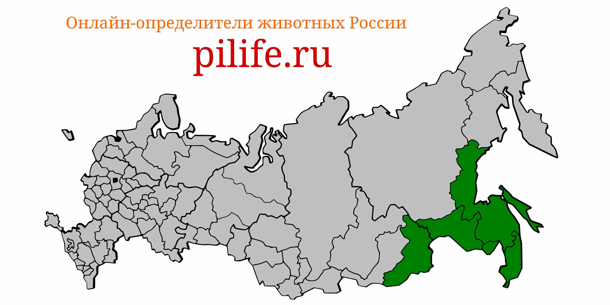 Ареал обитания Pseudaspius leptocephalus на карте России