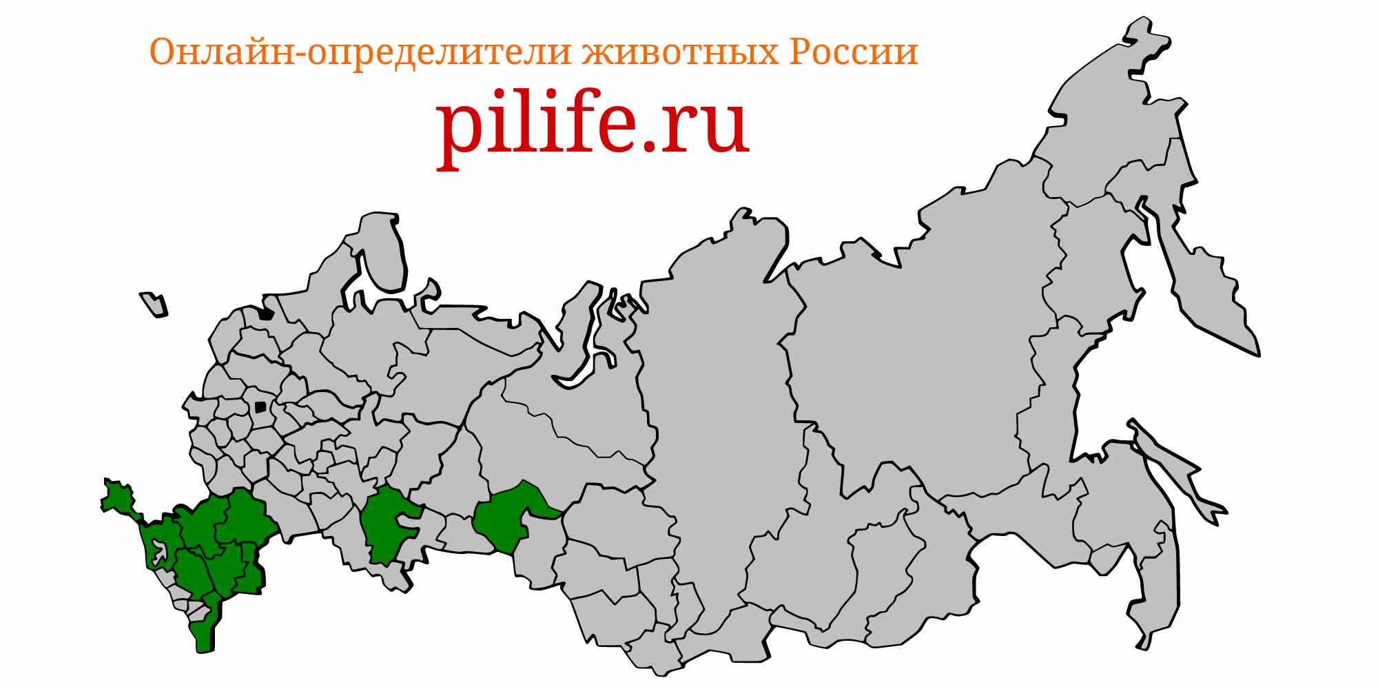Ареал обитания pungitius platygaster на карте России