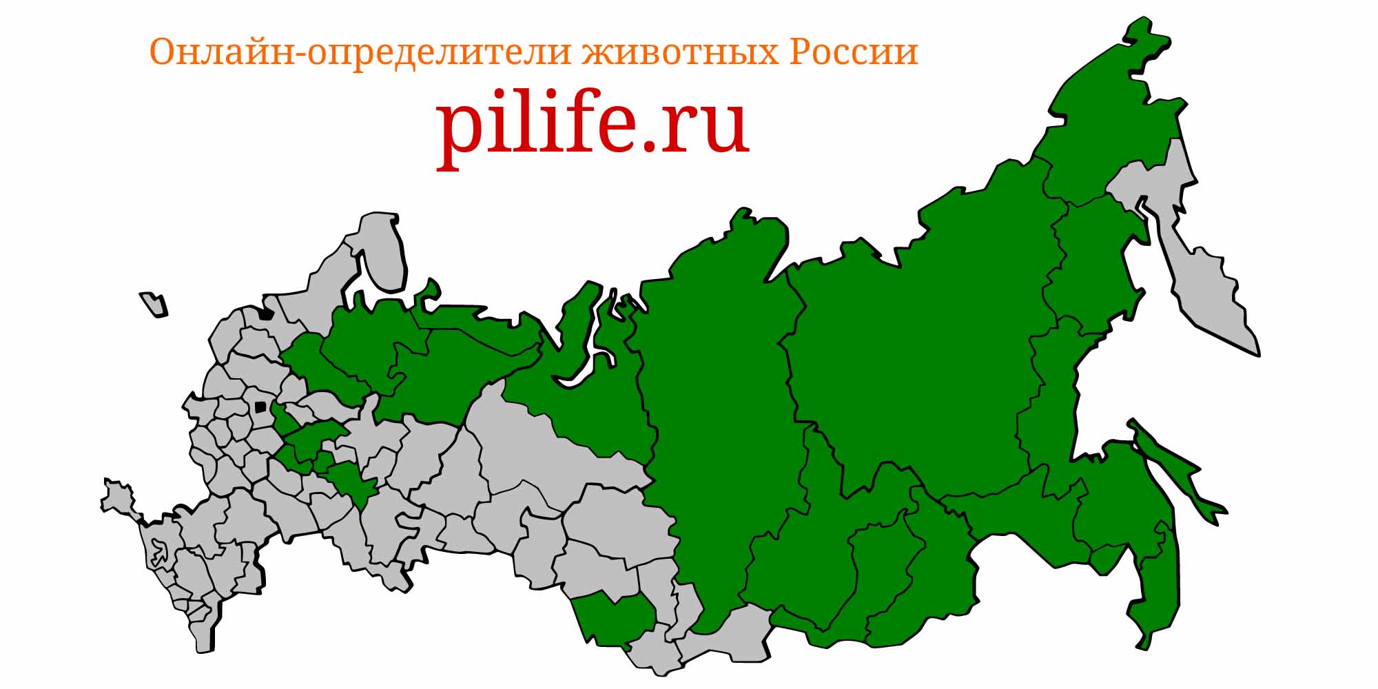 Ареал обитания Rhynchocypris percnurus на карте России