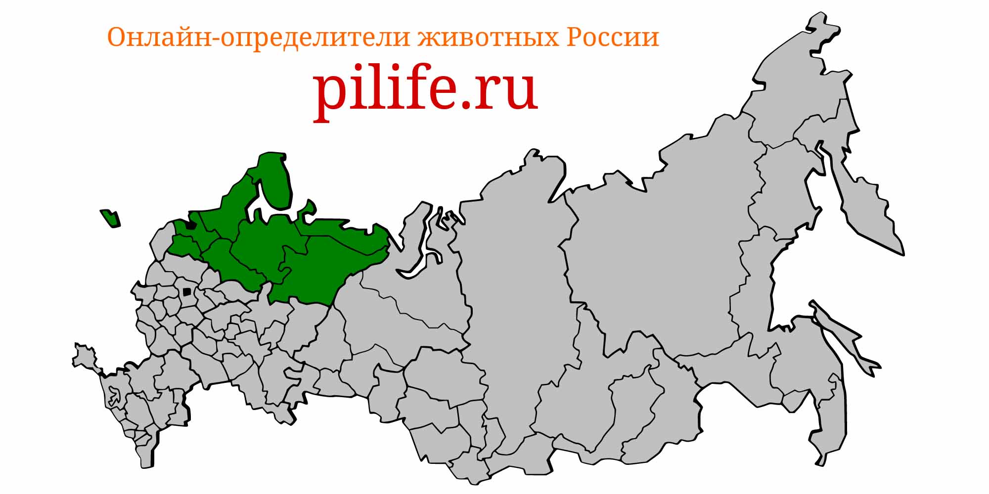 Ареал обитания Salmo salar на карте России
