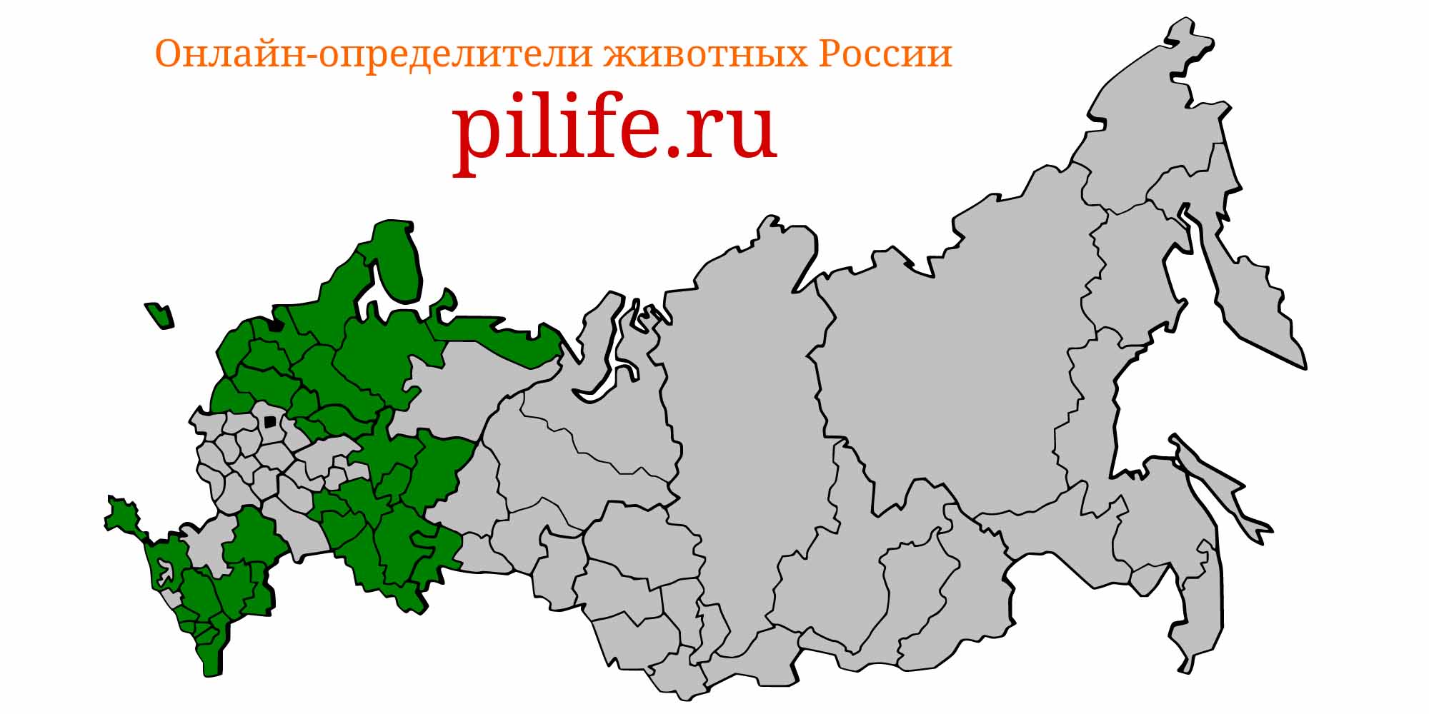 Ареал обитания salmo trutta на карте России