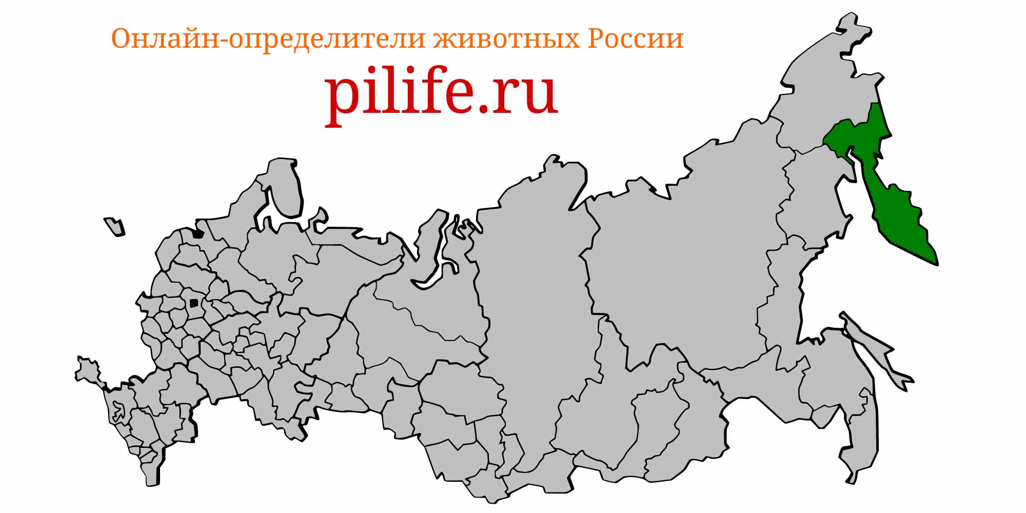 Ареал обитания Salvelinus albus на карте России