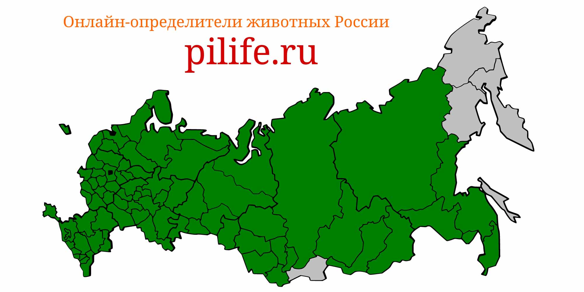Ареал обитания sander lucioperca на карте России
