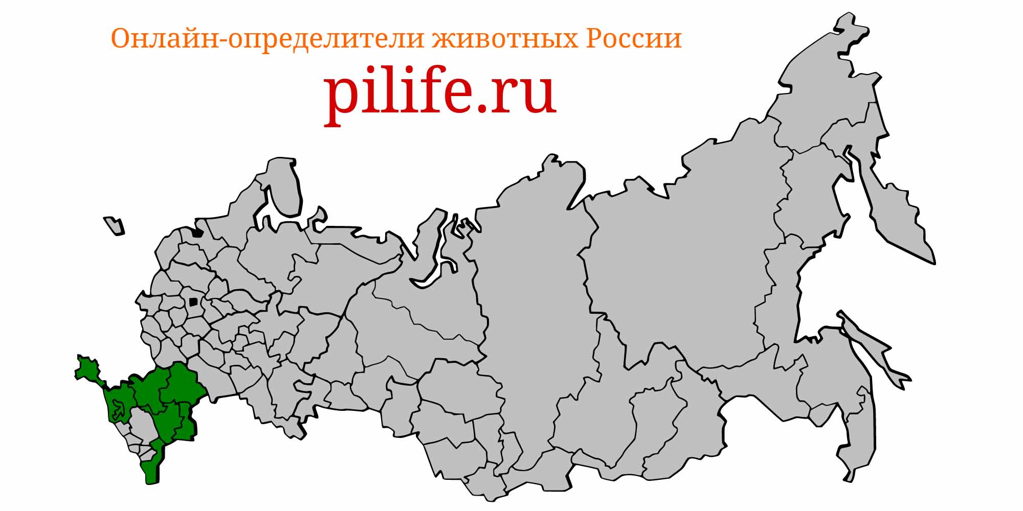 Ареал обитания syngnathus abaster на карте России