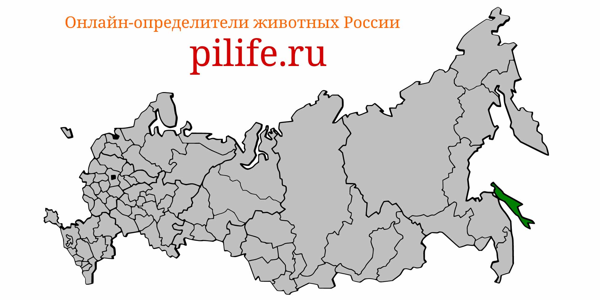 Ареал обитания Tridentiger obscurus на карте России