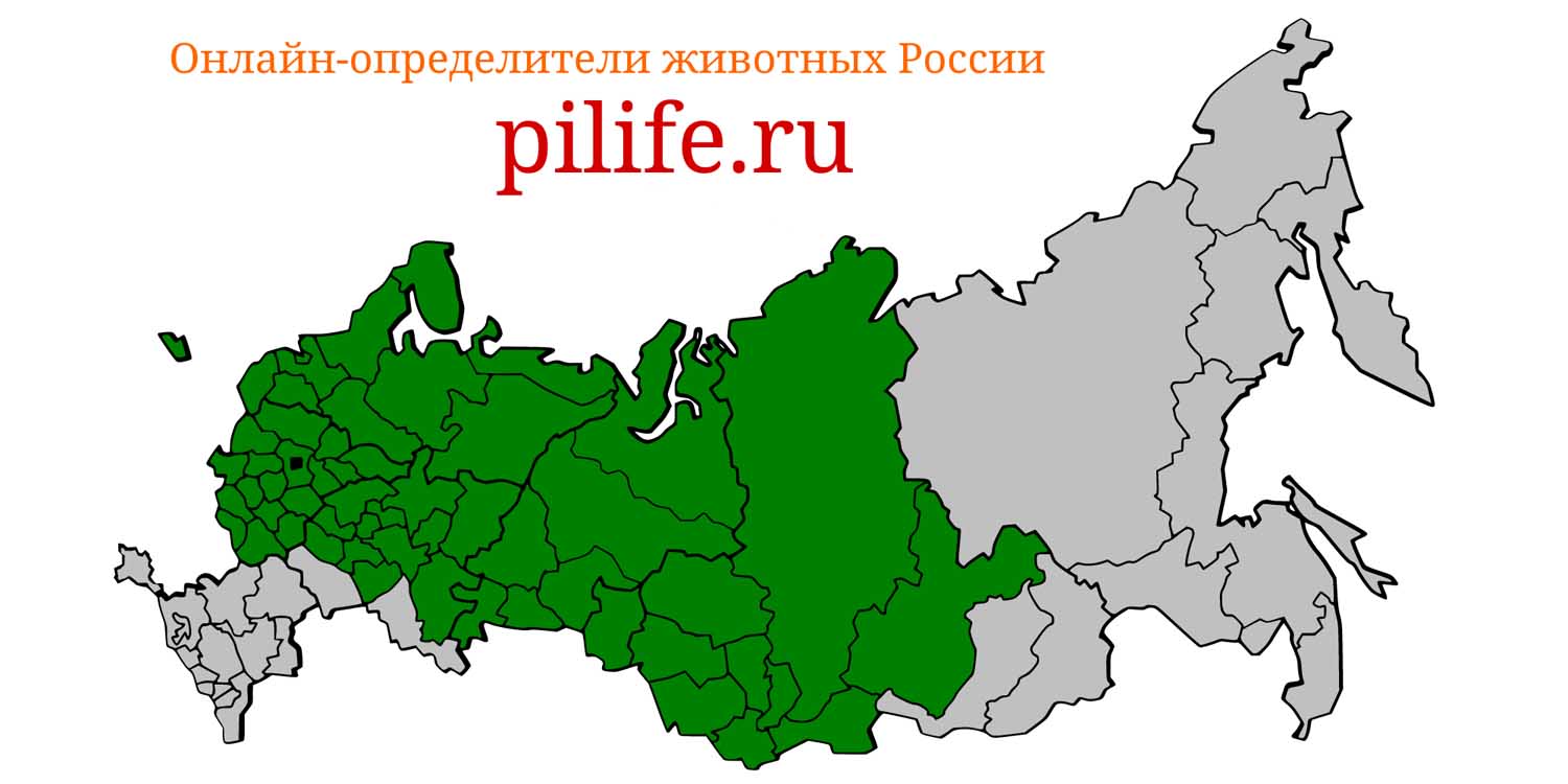 Ареал обитания Microtus agrestis на карте России